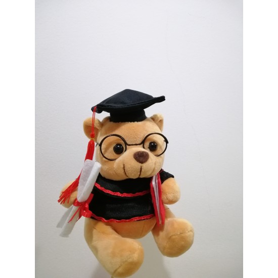 Mr Teddy 