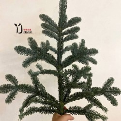 Fresh Netherland Nobilis Abies Per Stem ( Pre-Order)
